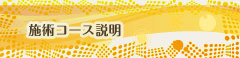sec2_image